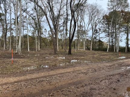 Undeveloped Land in Avoyelles Parish, Louisiana