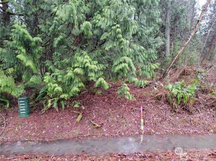 Undeveloped Land in Whatcom County, Washington