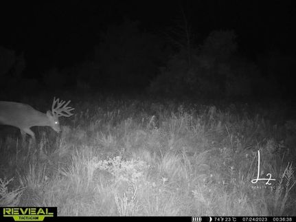 Timberland Property in Wilson County, Kansas