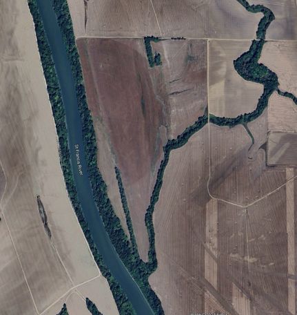 Timberland Property in Lee County, Arkansas