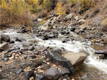 Riverfront Property in Alpine County, California
