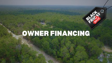 Undeveloped Land in Putnam County, Florida