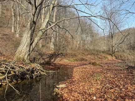Recreational Property in Harrison County, West Virginia
