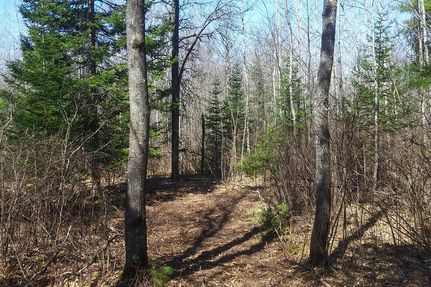 Hunting Property in Washburn County, Wisconsin