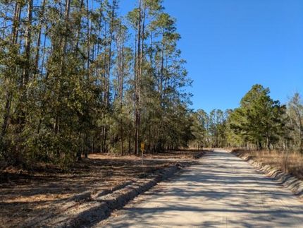 Timberland Property in Hamilton County, Florida