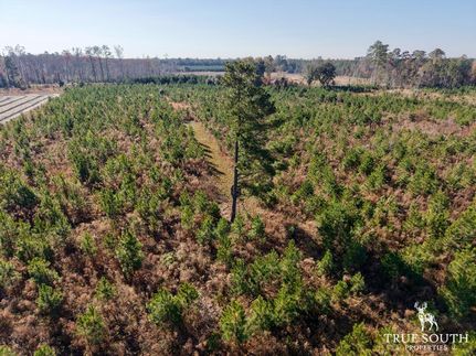 Hunting Property in Hampton County, South Carolina