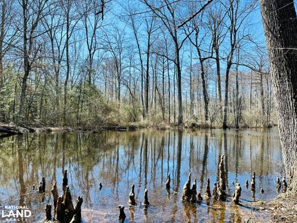 Timberland Property in Middlesex County, Virginia