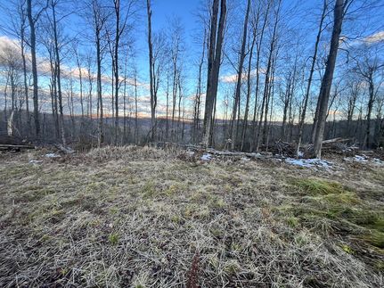 Undeveloped Land in Tioga County, New York
