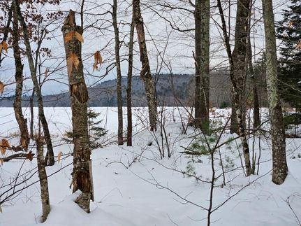 Farm and Ranch in Oxford County, Maine
