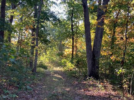 Recreational Property in Shelby County, Missouri