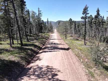 Undeveloped Land in Costilla County, Colorado