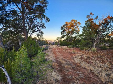 Farm and Ranch in Cibola County, New Mexico