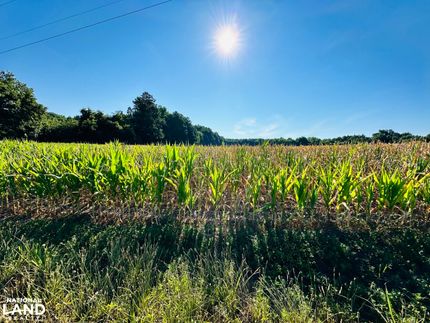 Timberland Property in Lancaster County, Virginia