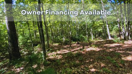 Hunting Property in Ashe County, North Carolina