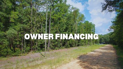 Undeveloped Land in Putnam County, Florida