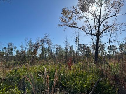 Recreational Property in Clarendon County, South Carolina