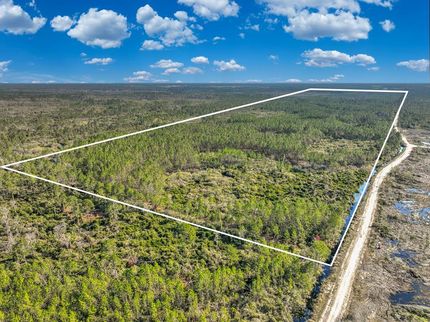 Hunting Property in Lafayette County, Florida