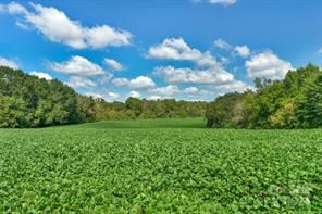 Commercial Property in Union County, North Carolina