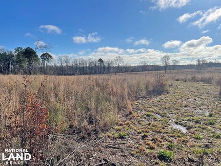 Recreational Property in Marlboro County, South Carolina