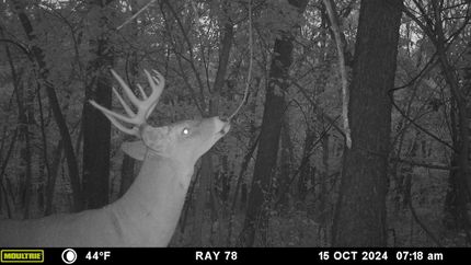 Recreational Property in Ray County, Missouri