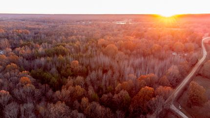 Undeveloped Land in Greene County, Arkansas