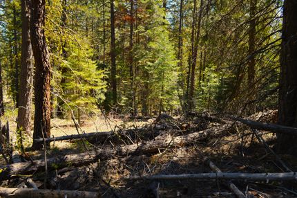 Undeveloped Land in Klamath County, Oregon