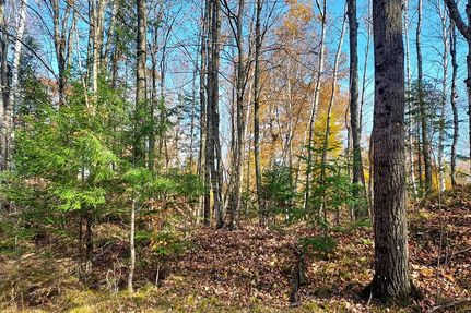 Homesite in Forest County, Wisconsin