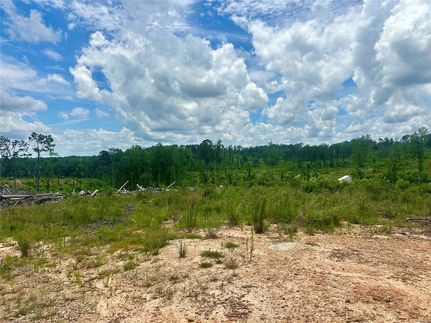 Undeveloped Land in Autauga County, Alabama