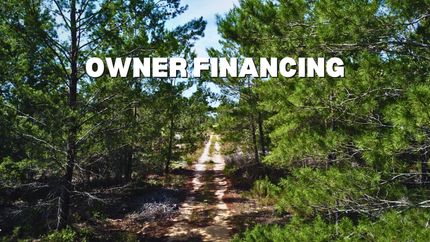 Undeveloped Land in Putnam County, Florida