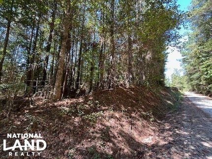 Land in Morgan County, Georgia