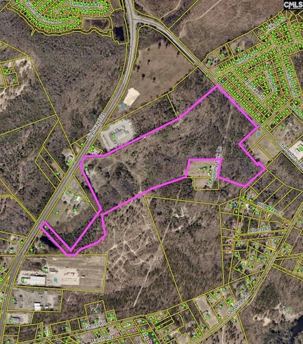 Undeveloped Land in Lexington County, South Carolina