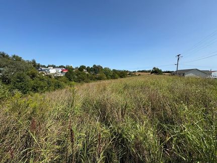 Undeveloped Land for sale in Fleming County, Kentucky