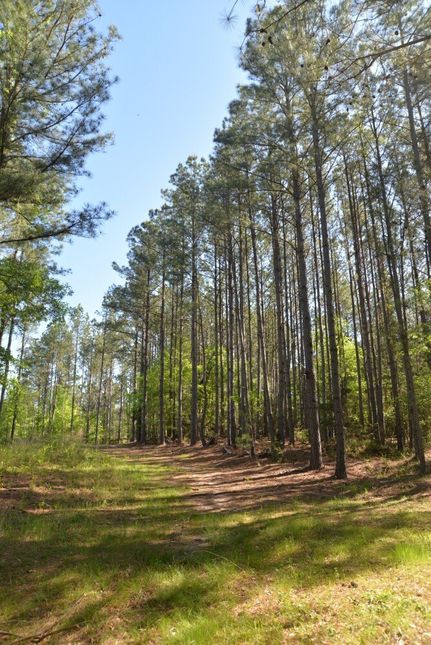 Undeveloped Land for sale in Chester County, South Carolina