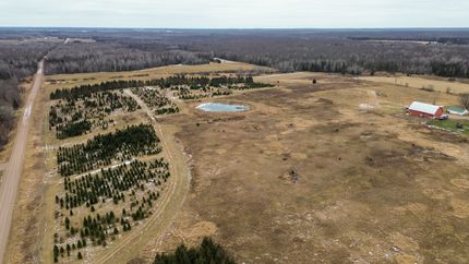 Timberland Property in Taylor County, Wisconsin