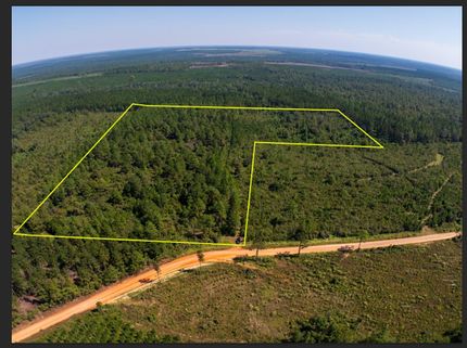 Timberland Property in Baldwin County, Alabama