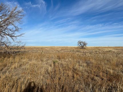 Undeveloped Land in Bailey County, Texas