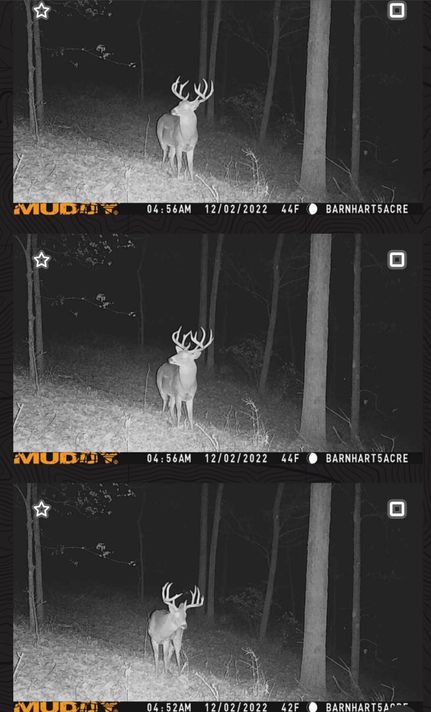 Timberland Property in Jefferson County, Missouri