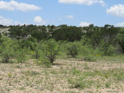Undeveloped Land in Pecos County, Texas