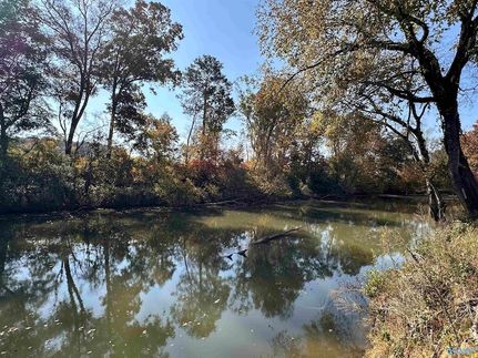 Undeveloped Land in Cherokee County, Alabama