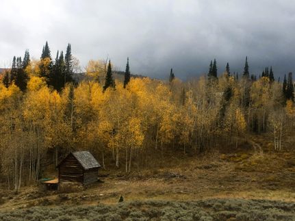 Hunting Property in Sanpete County, Utah