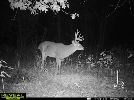 Undeveloped Land in Wilson County, Kansas