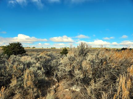 Undeveloped Land in Costilla County, Colorado