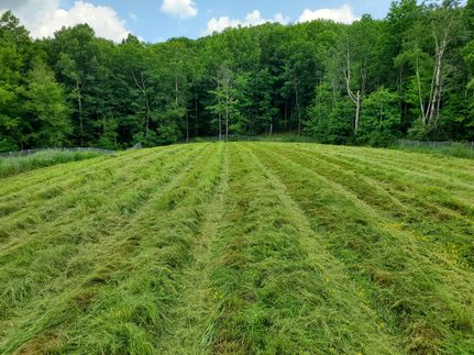 Farm and Ranch for sale in Chemung County, New York
