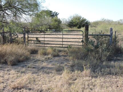 Hunting Property in Zapata County, Texas