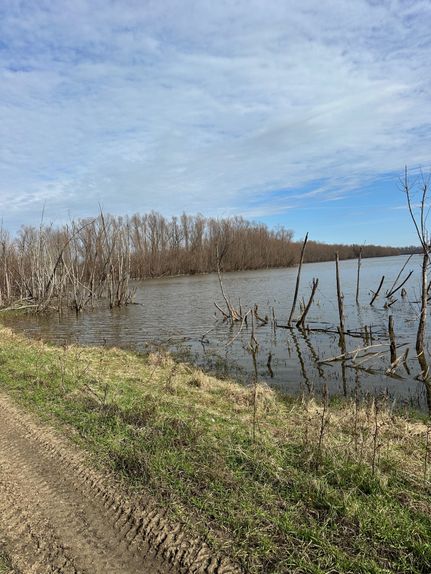 Land in Bolivar County, Mississippi