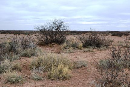 Recreational Property for sale in Cibola County, New Mexico