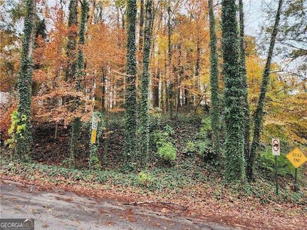 Undeveloped Land in Fulton County, Georgia