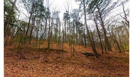 Undeveloped Land in Van Buren County, Arkansas