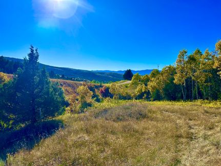 Timberland Property in Madison County, Montana