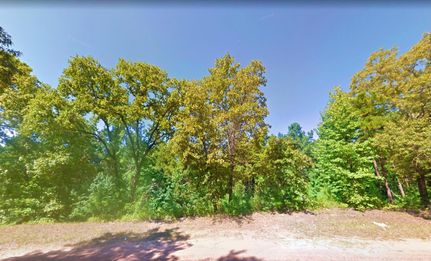 Undeveloped Land in Marion County, Texas